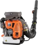 Top 10 Best Leaf Blowers 2026