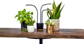 Top 10 Best Grow Lights 2026