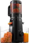 Top 10 Best Juicers 2026