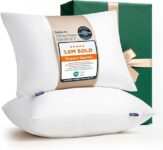 Top 10 Best Pillows 2026