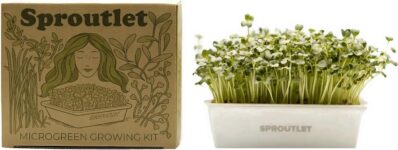 Top 10 Best Herb Gardens 2026