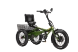 Top 10 Best Tricycles 2026